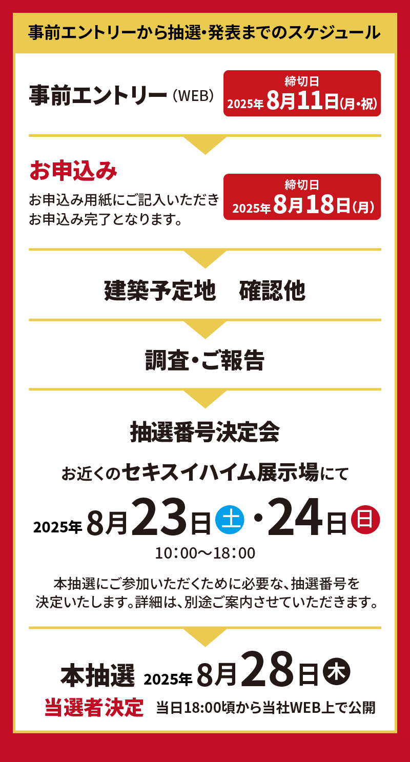 スケジュール