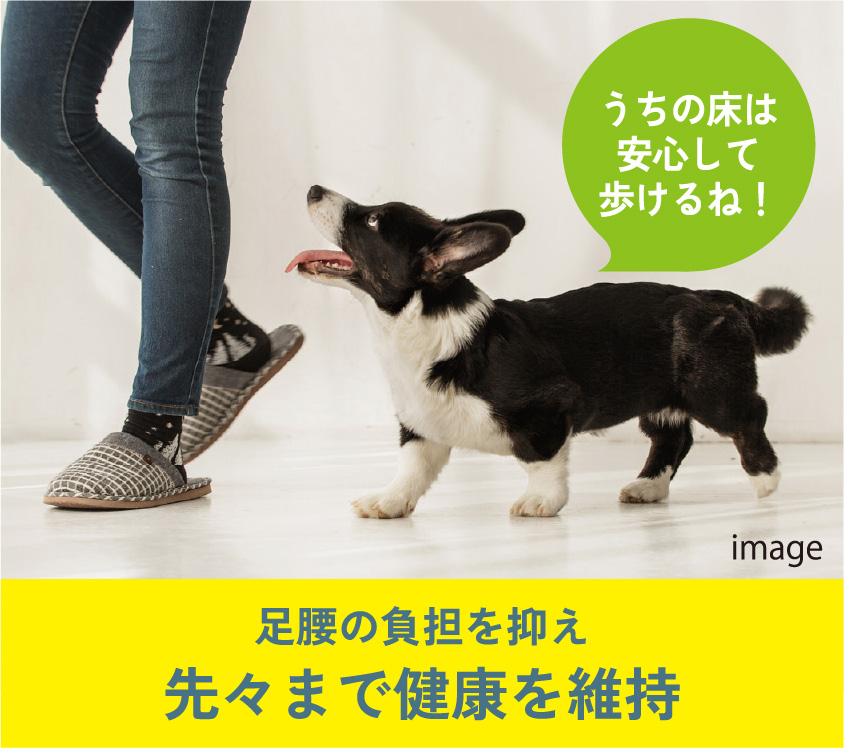 足腰の負担を抑え先々まで健康を維持